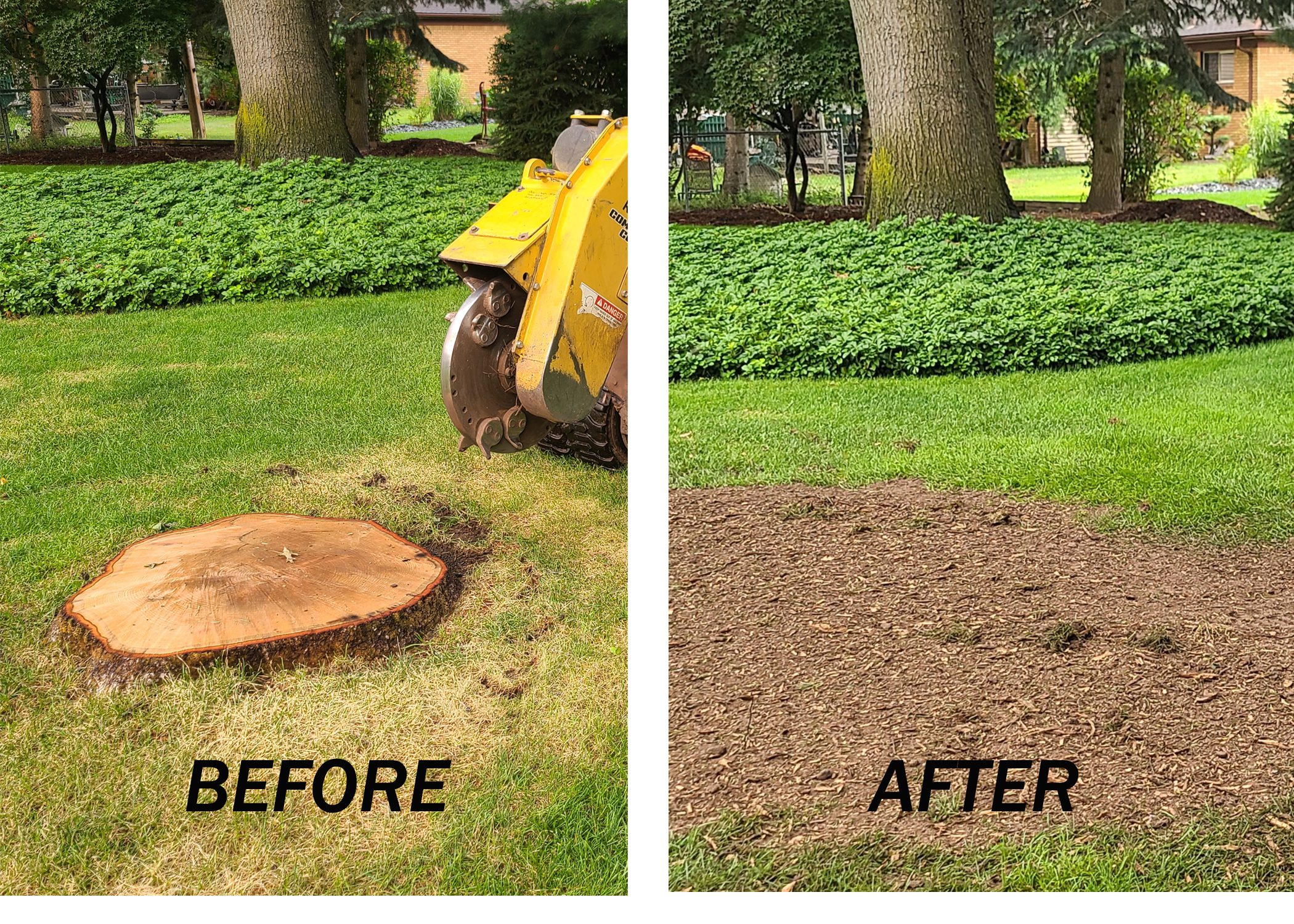 Before and after tree stump grinding a residential lawn in Paris Ontario